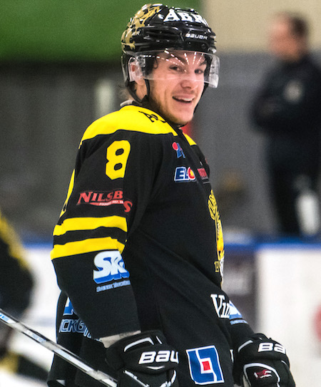 Hoglund