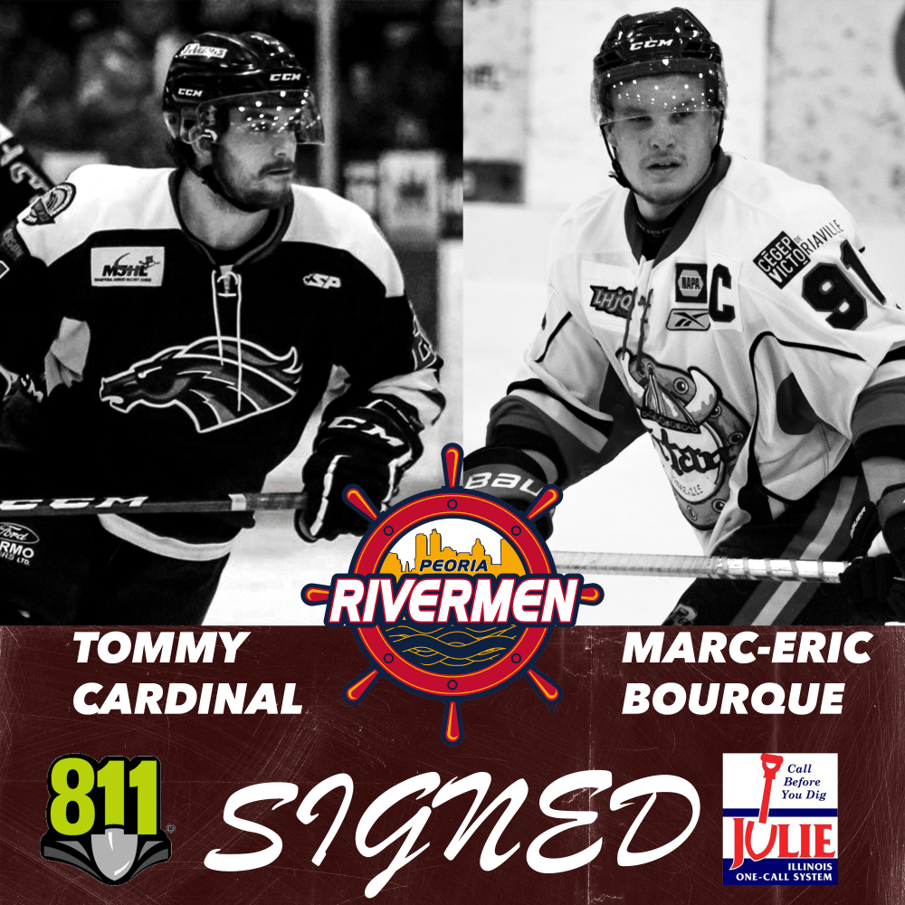 cardinal-bourque