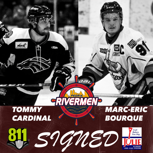cardinal-bourque